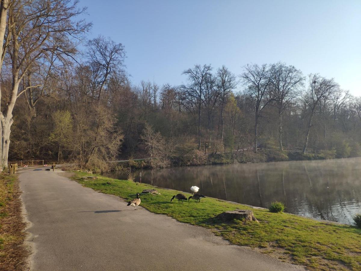 Chantilly Coye-la-Foret